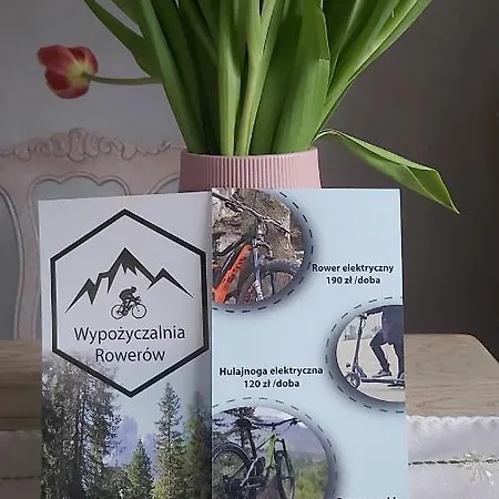 Karkonoskie Σαλέ *